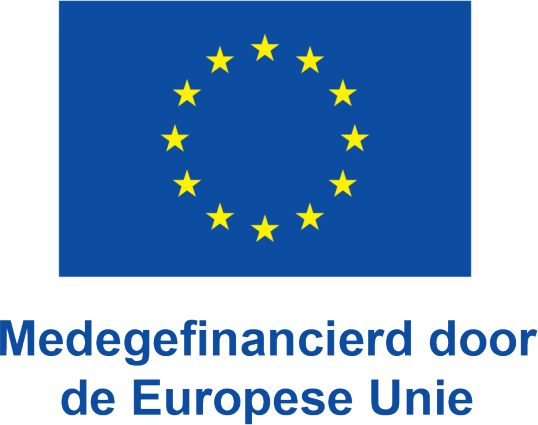 Co-funded by the European Union